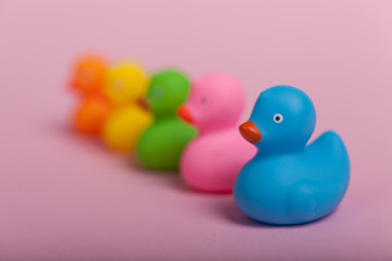 colorful rubber ducks on pink background, shallow depth of field
