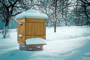 Beehive in winter