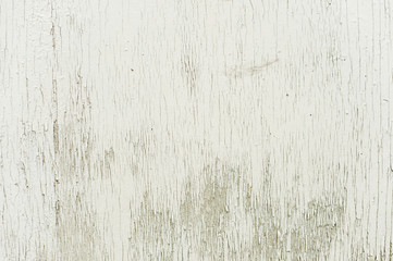 Textured background wooden surface painted with water-emulsion paint with small cracks in time. Rustic background