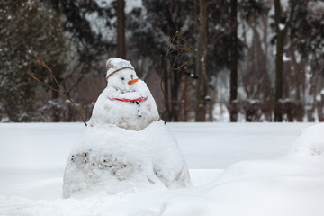 winter snowman outdoor