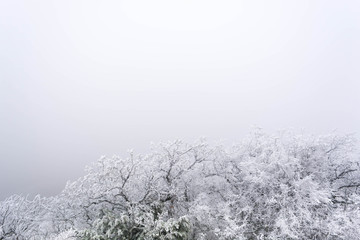 Naklejka premium Winter landscape