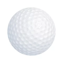 Foto op Canvas Vector golf ball on white background © Daniel Thornberg