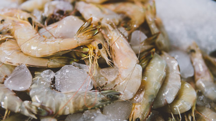 shrimp on local market  close-up shallow focus 