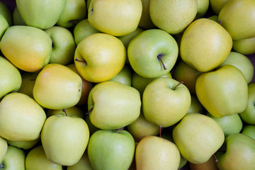 Green and yellow apples. Apples of the variety Golden. Texture. Background