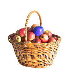 basket with red apples and genetic modified blue one isolated on white