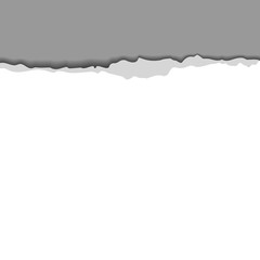 Torn paper with ripped edge