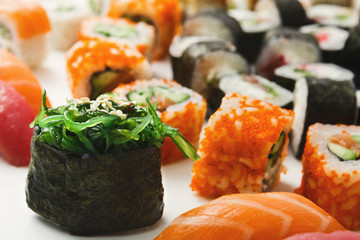 Set of sushi rolls, maki on white background