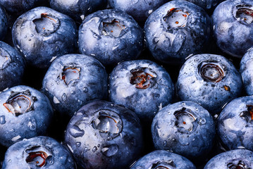 Blueberry’s macro closeup many berry’s black background