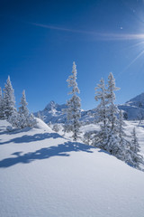Winterpanorama - Verschneite Winterlandschaft