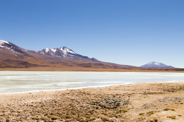 Fototapeta na wymiar Laguna Hedionda view, Bolivia