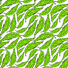 Vegetable pattern of palm leafs of green color with a black stroke of green on a white background. Hand-Drawn Vector Hand