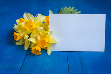 Flowers Greeting Card . Spring easter background with daffodils bouquet
