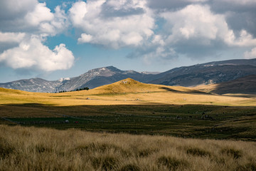 Fototapeta premium Landscape