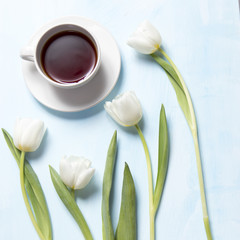 white tulips and tea in the mug on blue wooden background as a card