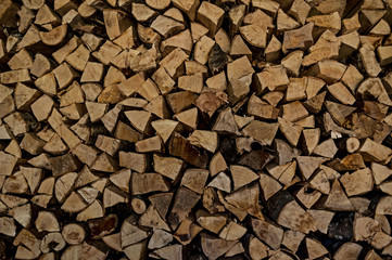 Wall of harvested wood