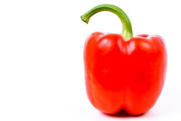 Rote Paprika isoliert mit Textfreiraum