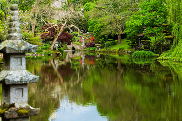 Pond  and  reflections. Beauty nature in Japanese park in France in Maulivrier . Pays de la loire .