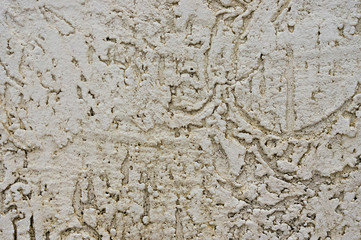 Texture of the decorative stucco wall as a background. Bark beetle style