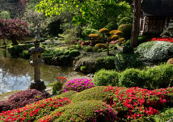 Topiary  . Beauty nature in Japanese park in France in Maulivrier . Pays de la loire .