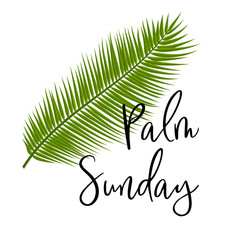 Green Palm leafs vector icon. Vector illustration for the Christian holiday. Palm Sunday text handwritten font.