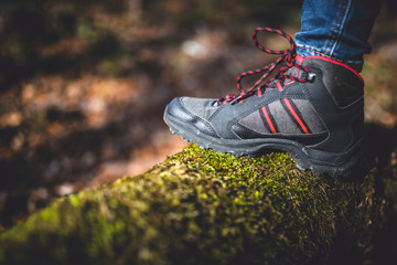 Hiker shoes on old tree log