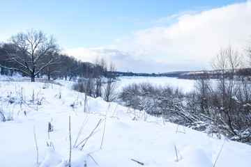 Landscape with the image of winter wood