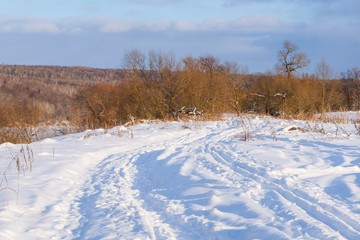 Fototapeta na wymiar Landscape with the image of winter wood