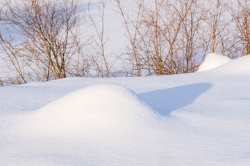 Landscape with the image of winter meadow