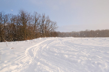 Fototapeta na wymiar Landscape with the image of winter wood