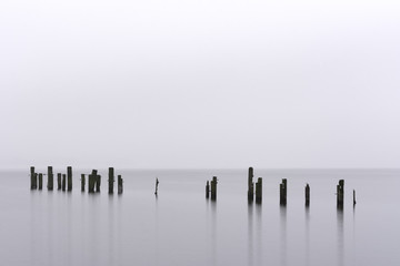 old wooden posts standing above the freshwater of Loch Lomond on a low visibility day