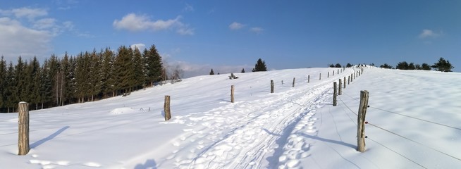Fototapeta premium Winter landscape. Winter road and trees covered with snow