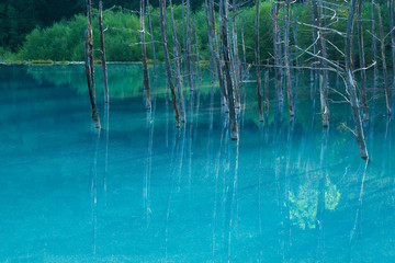 青い池-Blue Pond-