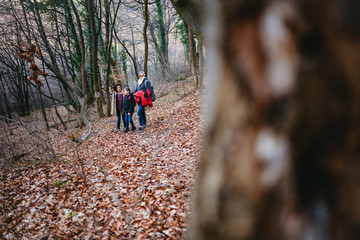 Fototapeta premium Family hiking in the forest