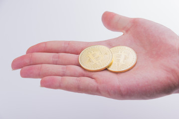 Cryptocurrency golden bitcoin in hand on white background
