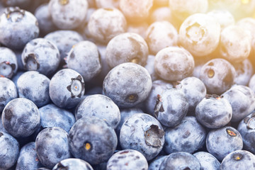 Close-up fresh blueberries. Natural berries background. Fresh natural organic food background