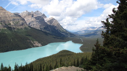Fototapeta na wymiar Peyto Lake, Banff National Park, Alberta
