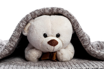 Teddy bear with gray blanket