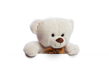 Teddy bear with white blank space for commercial graphycs