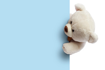 Teddy bear with blue blank space for commercial graphycs