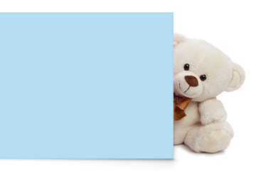 Teddy bear with blue blank space for commercial graphycs