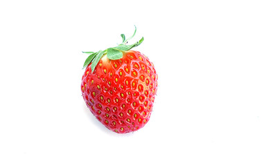 Red berry strawberry