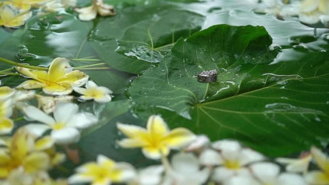 Wedding rings on flowers and leafes in a water