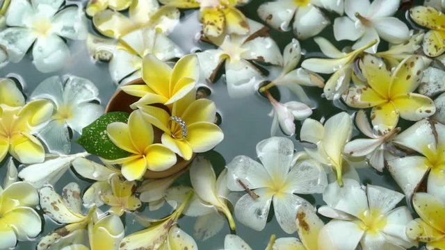 Wedding rings on flowers and leafes in a water