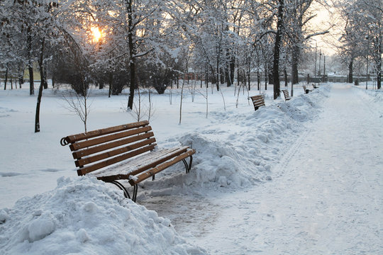 Winter sunset on the alley in the old park. Trees and benches in the city park are covered with an abnormally large snow.