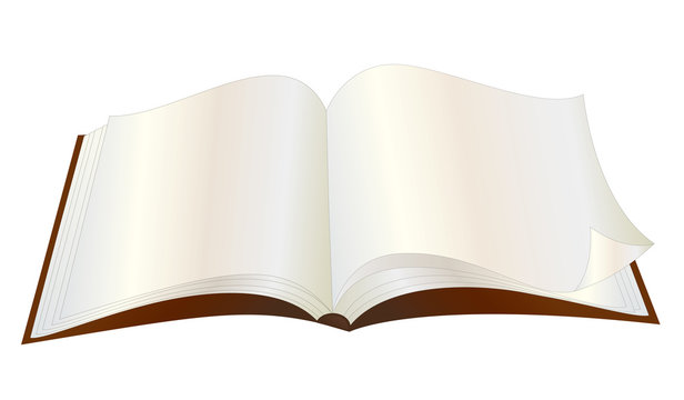 Open book with blank pages vector