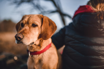 Dog sitting at a picnic table with owners