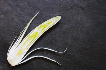 Sliced large salad onion on slate table with copy space