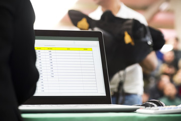 cattle in sale , cows calves  auction