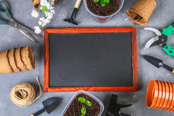 Garden tools and pots on a gray concrete background. Chalk board. Top view, copy space.