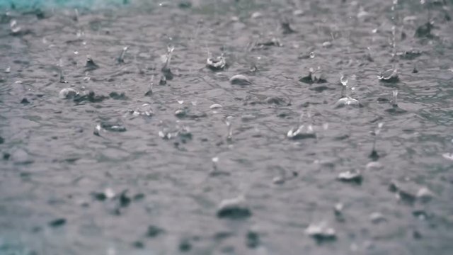 Large Drops of Rain fall in a Puddle During a Rainstorm. Slow Motion in 96 fps. Water Drops. Close-up. Heavy rain fall background.